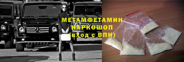 молекула духа Вяземский