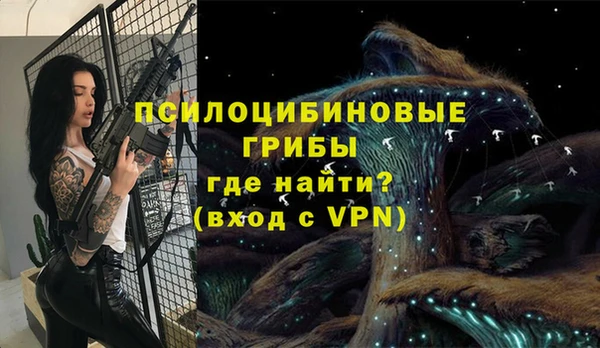 эйфоретик Волосово