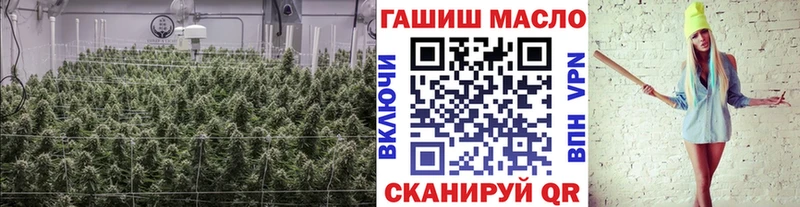 маркетплейс телеграм  Раменское  ТГК гашишное масло 