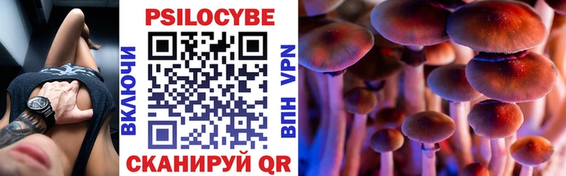 мега рабочий сайт  Раменское  Псилоцибиновые грибы Cubensis 